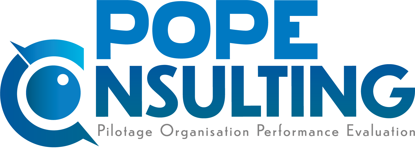 POPE CONSULTING — Pilotage Organisation Performance Évaluation